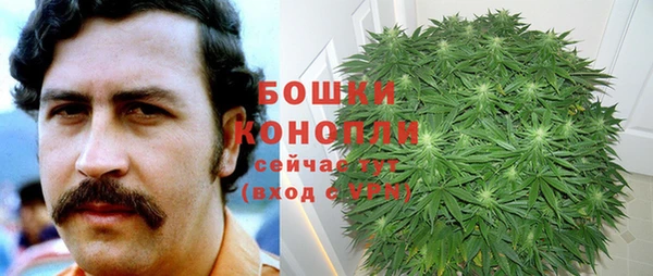 винт Армянск