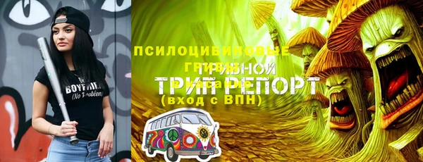 винт Армянск