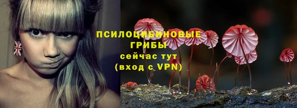 винт Армянск